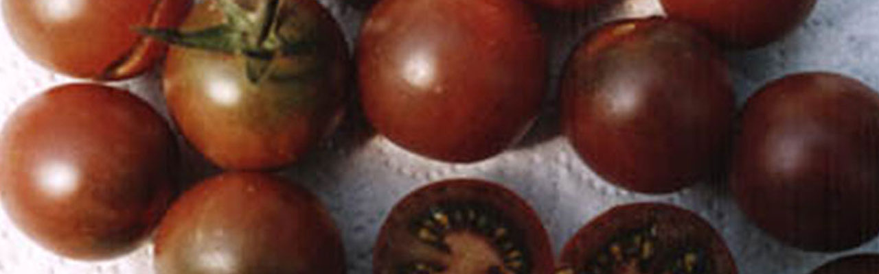 Gemüsepflanzen - Tomaten - Cocktailtomaten