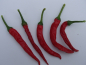 Preview: P3050 / Cayenne