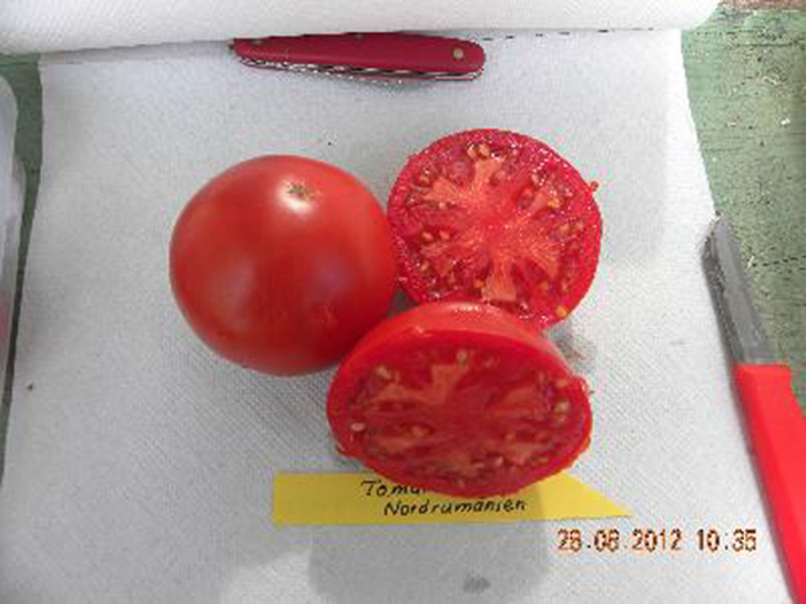 T170 / Tomate aus Nordrumänien