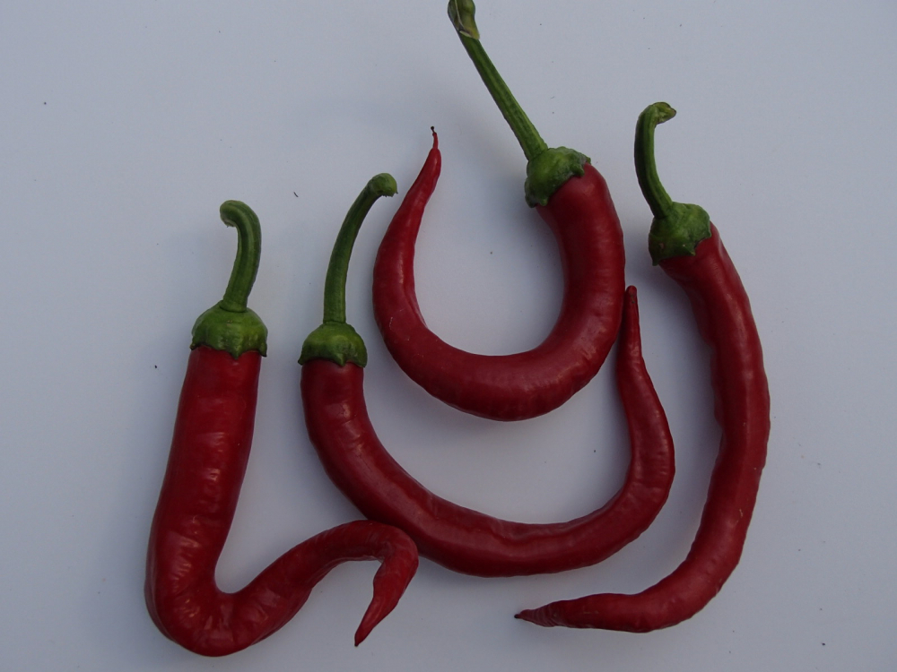 Bild zu Sweet Cayenne